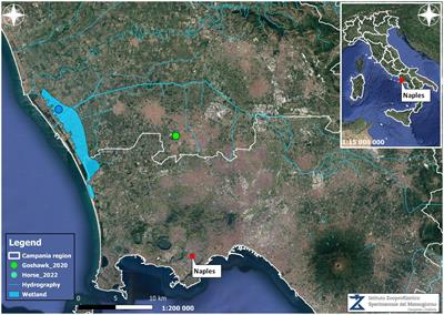 Reoccurrence of West Nile virus lineage 1 after 2-year decline: first equine outbreak in Campania region